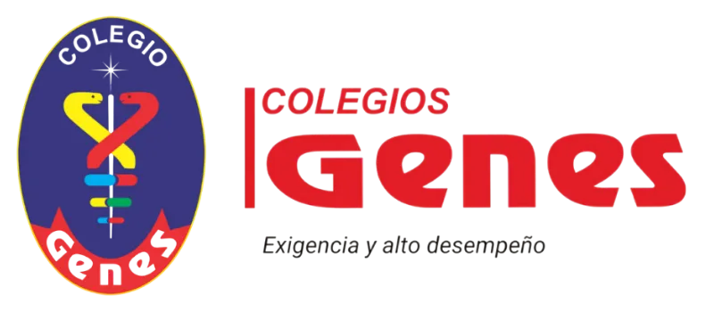 Clientes de transporte en Lima